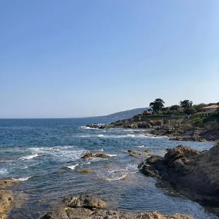 Standing - T2 Terrace With Pool Daire *